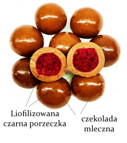 Liofilizowana czarna porzeczka w czekoladzie mlecznej 100g opakowanie bag